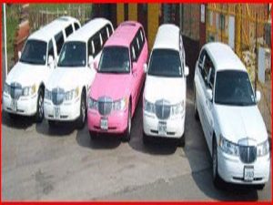 Lincoln Stretch Limousine Hire Brighton 11